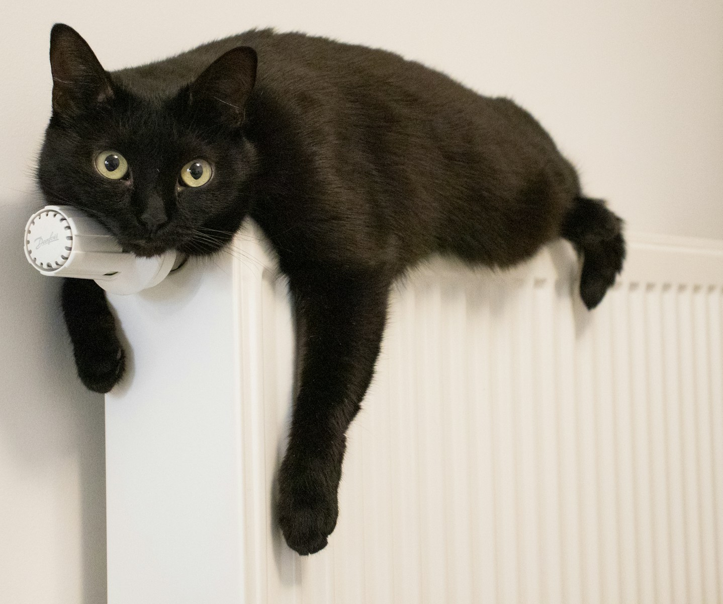 a black cat laying on top of a radiator